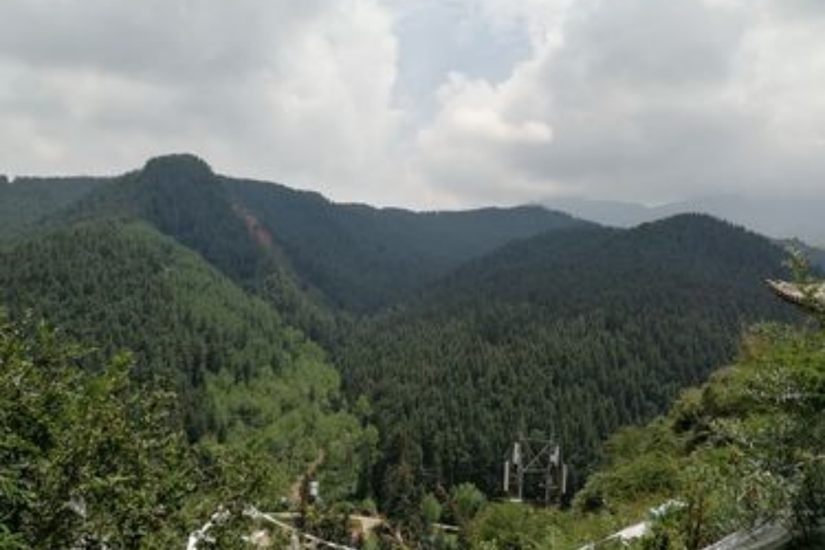 Ping'an Xiaqun Temple Forest Park